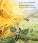 È autunno nella foresta degli gnomi