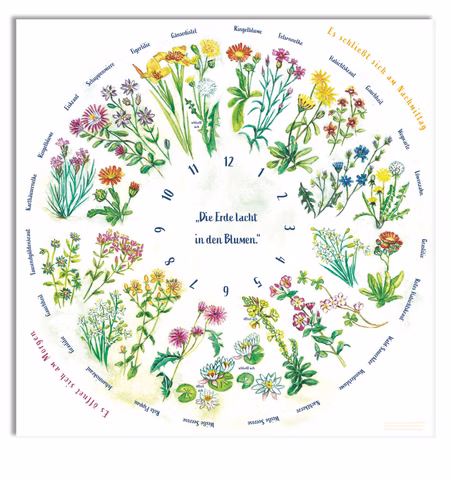 Poster Die Blumenuhr