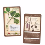 Tour durch die Natur - 50 heimische Bäume