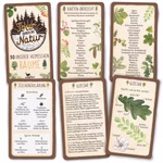 Tour durch die Natur - 50 heimische Bäume