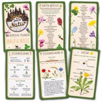 Tour durch die Natur - 50 heimische Pflanzen 