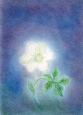 Kunstkarte Christrose