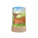 Toverlux Laternen-Schirme Set Waldtiere - Eentje van Margo