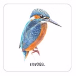 Das große Vogel Memo Das große Vogel Memo