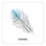 Das große Vogel Memo Das große Vogel Memo