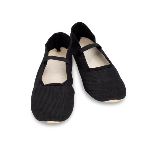 Chaussures Eurythmie Standard, noir