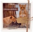 Geldgeschenk Verpackung Afrika Safari Urlaub Reise Fernreise Geldverpackung Wildlife 1