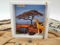 Geldgeschenk Verpackung Afrika Safari zum Geburtstag Weihnachten Hochzeit Silberhochzeit  2