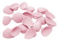 Muscheln Deko Muscheln Arca Arca Schalen Streudeko Maritime Deko Basteln Rosa 20 Stück 1