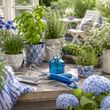 Gartenwerkzeug Set 3-teilig mit Zerstäuber – Schaufel Harke Pflanzwerkzeug Holzgriff Blau  3