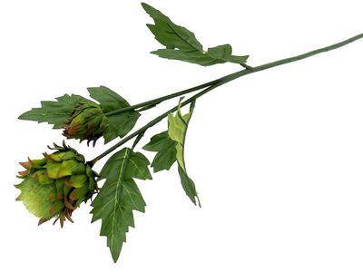 Kunstblume Zweig Distel Blüte Kunstpflanze Grün Basteln Deko 51cm Herbstdeko