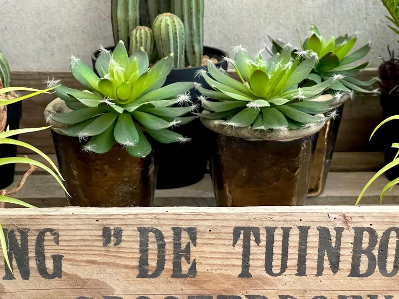 Kunstblume Kunstpflanze Sukkulente im Blumentopf Rund Kupfer Braun Deko  Garten Terrasse Balkon