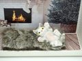 Originelle Verpackung mit Katze für Geld als Weihnachtsgeschenk 4