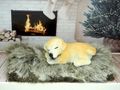 Geldgeschenk Verpackung Hund Weihnachten XMAS Gutschein Kamin Geschenk  4