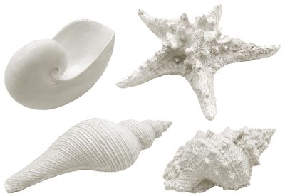 Dekomuscheln Muschel Schnecke Seestern Muschelmix Weiß Maritime Deko Polyresin Groß 4 Stück