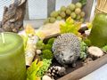 Herbst Tablett in Braun mit zwei grünen Kerzen, Igel-Figur & Naturdeko für stimmungsvolle Tisch- & Wohnungsdeko  4