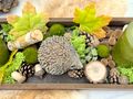 Holztablett Länglich Deko Tablett rechteckig mit Kerzen, Igel Figur, Herbstblättern, Islandmoos, Zapfen und Eicheln 7