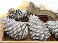 Pinienzapfen in Weiß für Adventsgestecke, Weihnachtskränze, Tischdeko oder winterliche Arrangements  4