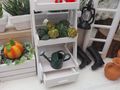 ZauberDeko Miniatur-Gießkanne – liebevolles Zubehör für Wichtel, Puppenhaus & Miniaturwelten 4