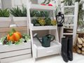 Mini Deko Garten Gießkanne als Geschenk für Gärtnerinnen und Gärtner, für ein Puppenhaus und eine Wichteltür 3