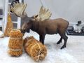 Stroh Miniatur Strohbündel aus Reisstroh als Wichtel Zubehör, DIY-Projekte, Krippe, Diorama 3