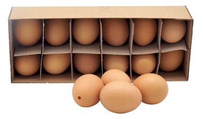 Hühnereier im Karton mit 12 Stück echte ausgeblasene Eier als Osterdekoration Ostereier Deko