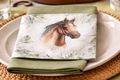  Servietten mit Pferd Motiv für alle Pferde-Themen und Reiten Partys wir Geburtstag, Jubiläum, Kindergeburtstag 3