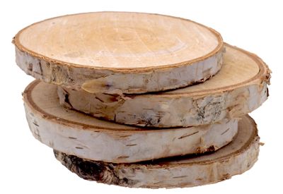 Holzscheiben Groß 8-12 cm Birke Rund Natur Holz Basteln Streudeko Tischdeko Herbst Weihnachten 4 Stück