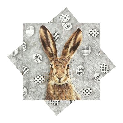 Servietten Ostern Hase Osterservietten Cocktailservietten Frühling 20 Stück 25 x 25 cm 