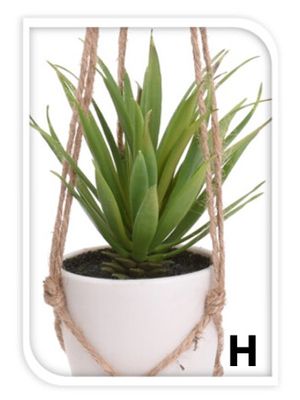 Sukkulenten-Blumentopf Aus Kunstharz – 10,5 X 10,5 X 13 Cm, Braun Mit Bärenmotiv, Für Haus & Garten