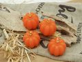 orangene Kürbis Kerzen für Tischdekoration Halloween Herbst Hochzeit Geburtstag Geschenkidee  4