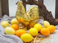 Echte ausgeblasene Hühnereier in kräftigen Gelb und Orange Farbtönen sind eine klassische Osterdekoration 2