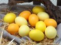 Die Ostereier in Gelb und Orange MIX sind ausgeblasene Eier zum Dekorieren  3