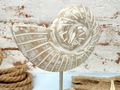 Deko Muschel Aufsteller Mangoholz Ammonit Sockel Ständer Säule Maritim Sommer Holzfigur 3