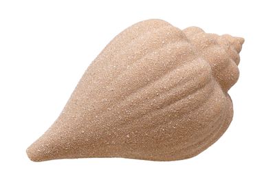 Schnecke Muschel Horn Deko Beige Tischdeko Maritim Party Strandhochzeit Garten Terrasse 16cm