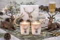Windlichter aus Glas mit Hirschkopf-Motiv – rustikale Deko für Herbst, Winter, Jäger & Natur-Liebhaber 6