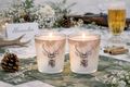 Windlichter als herbstlicher Deko, Tischdeko Wald- und Jagdthemen sowie alpinem Chalet-Stil  4
