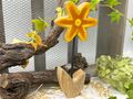Holz Aufstellar Blume in Gelb - Geschenk für Mutter, Kollegin, Freundin als kleines Dankeschön, Frühling Ostern Deko 5