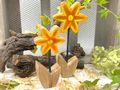 Deko Blume Aufsteller Gelb Sternförmig Holz Tischdeko Frühling Sommer 23cm oder 17cm  2