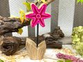 Holz Aufstellar Blume in Pink - Geschenk für Mutter, Kollegin, Freundin als kleines Dankeschön, Frühling Ostern Deko 6