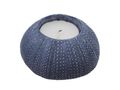 Teelichthalter Seeigel Blau Deko Tischdeko Maritim Restaurant  Ø 8cm 5
