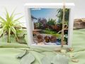 Geldgeschenk Verpackung Gutschein für Gartenprojekte – für Gartenmöbel Terrasse Gartenzaun Gartenpflanzen 2