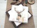 Tischdeko Geburtstag Mann Braun Natur Jäger Landhausstil Hirsch Winterwald Weihnachten SET 3
