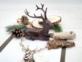 Tischdeko Geburtstag Mann Braun Natur Jäger Landhausstil Hirsch Winterwald Weihnachten SET 2