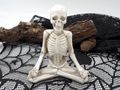 Tischläufer Schwarz Spinnennetz Halloween Herbst Tischdeko 185x43cm LxB 4