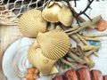 Muschelhälften gefärbt Gold für Frühling, Sommer, Herbst, Winter, Tischdeko, Hochzeiten, Weihnachten & Feste 3