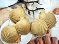 5 goldene Muschelhälften zum Basteln, DIY-Projekte, Gestecke, Kränze, Tischdekoration in allen Jahreszeiten 2