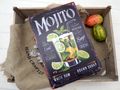 Deko Metallschild mit ein Glas Mojito mit Eis, umgeben von saftigen Limetten und Minze sowie Cocktailrezept 2