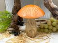 Deko Pilz aus Holz, 17 cm Aufsteller Orange – rustikale Herbstdekoration Erntedankfest Tischdeko 7
