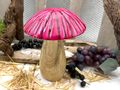 Deko Pilz Pink stehend Mangoholz mit lackierte Kappe Pink Herbst Weihnachten Erntedankfest Gareten  5